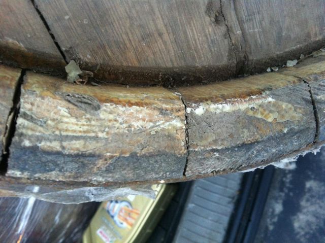 post-5256-0-33775100-1489572538_thumb.jp