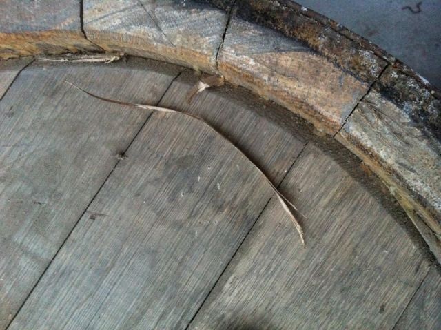 post-5256-0-73590600-1489572611_thumb.jp