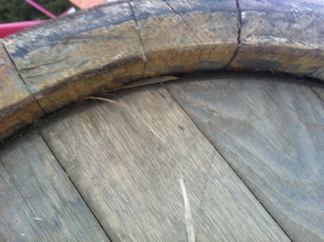 post-5256-0-84433500-1489572546_thumb.jp