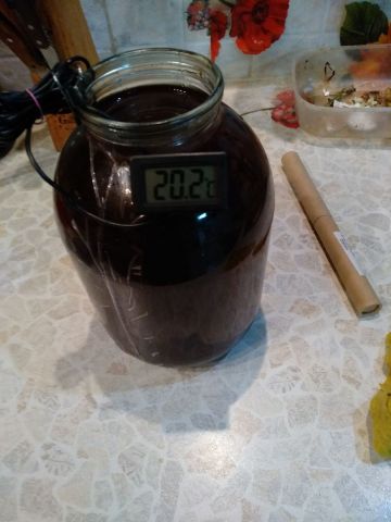 Температура барды.jpg