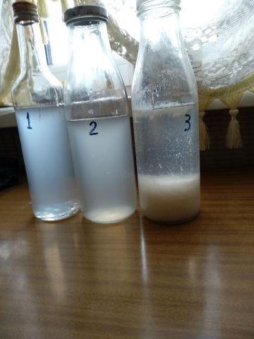 Мутняк через сутки.jpg