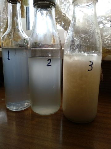 Мутняк через час после оклейки.jpg