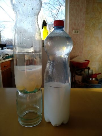 Белок и желатин.jpg