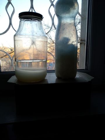 Желатин и белок.jpg