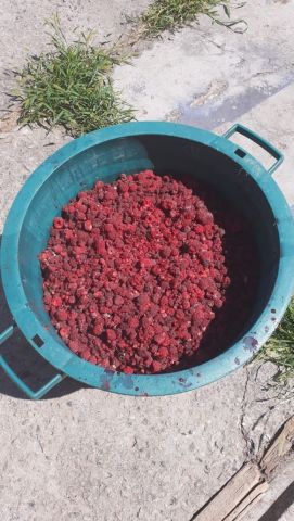 малина добровар вадим.jpg