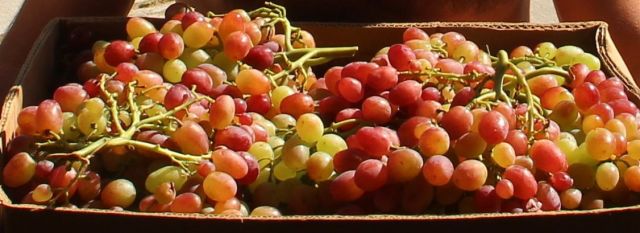 IMG_4074 — копия.JPG