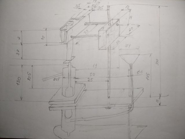Эскиз попугая.jpg