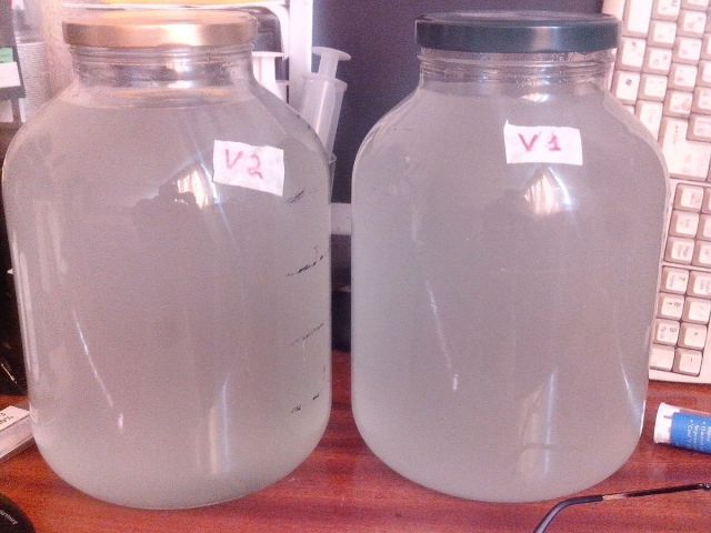 Первый СС.jpg