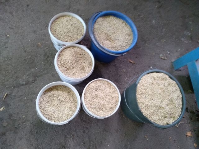 Ячмень 30кг.jpg