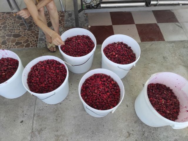 южный поток добровар (1).jpg