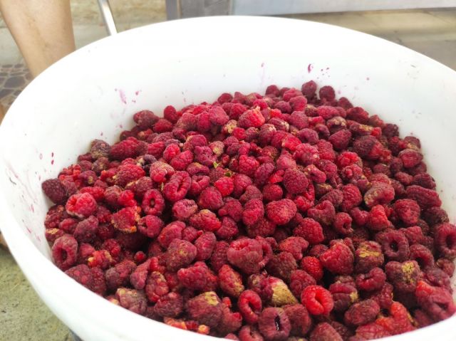 южный поток добровар (2).jpg