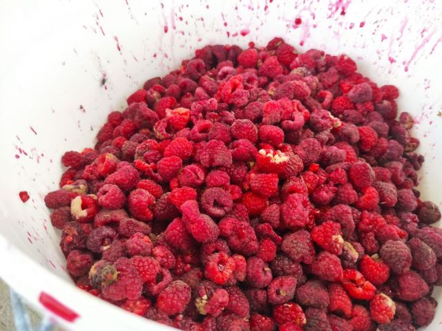 южный поток добровар (3).jpg