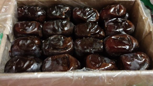 феники южный поток.jpeg