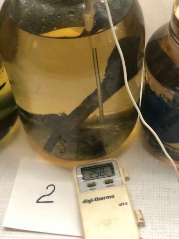 Температура термориформинг.jpg