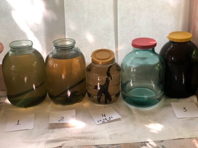 Все образцы.jpg