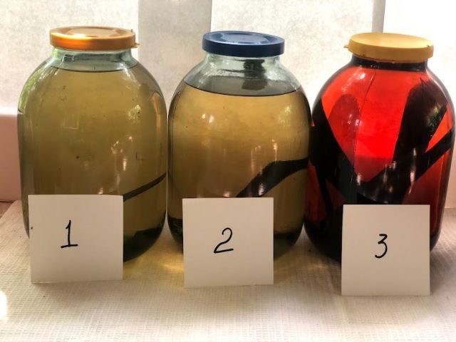 Оразцы на начало УЗ.jpg