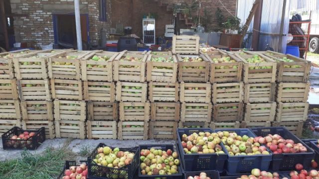 ЮЖНЫЙ ПОТОК ДРБРОВАР.jpeg