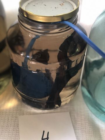 Образец 4 в стекле.jpg