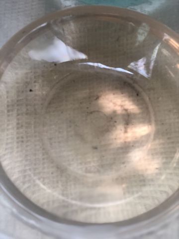 Осадок после УЗ.jpg