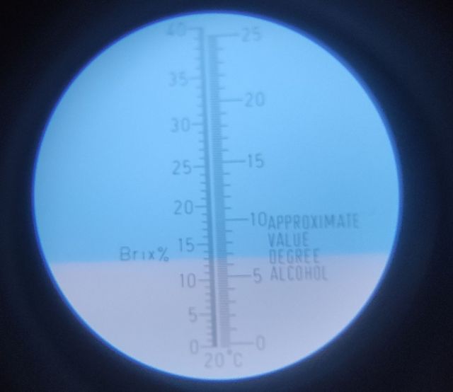 сахар яблоко 12% южный поток.jpg