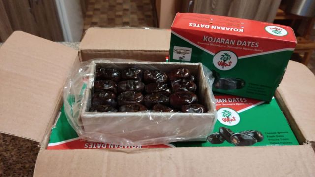 феники добровар и южный поток.jpeg