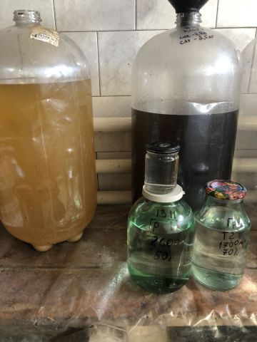 Грушевая брага.JPG