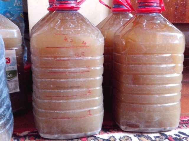 Слитая брага_не фильтр.jpg