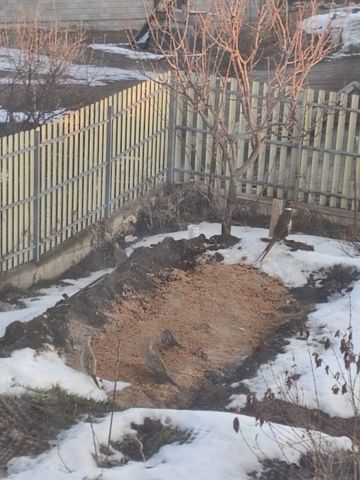 WhatsApp Image 2024-03-11 at 06.47.39_9fa1de29.jpg