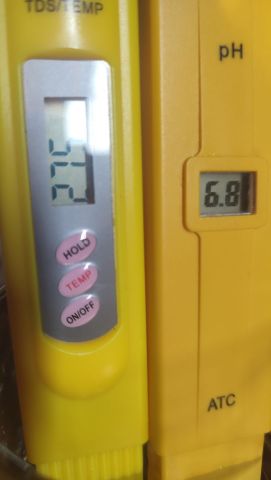 Умень_Из под крана.jpg