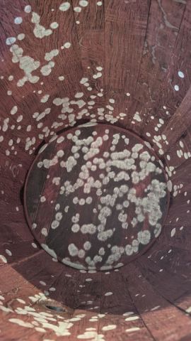 Плесень бочка.jpg