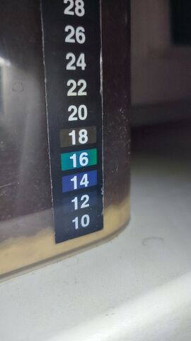 Последний день брожения.jpg