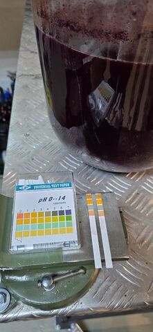 20260322_090147.jpg
